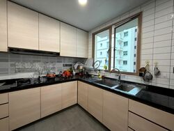 The Rivervale (D19), Condominium #568178841